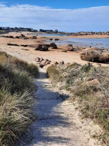 Appartement Plage De Trestraou 45M2 Perros-Guirec Dış mekan fotoğraf